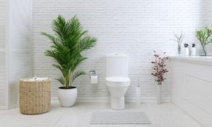 10 Jasa Sedot Wc Di Jombang Yang Terpercaya Dan Profesional,