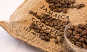 Kopi Termahal Di Dunia Gayo Saat Ini Dari Indonesia Kopi-Kopi 2021 Biji Harga Gajah Jenis Berasal Yakni Apa Mesin S Adalah Yang Nama B Mahal Daftar Dengan Kedua Luwak Minuman Paling Secangkir Urutan