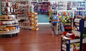 Petshop Di Semarang Barat Galaxy Berkah Ciproet Catdog Murah Golden Pet Shop Hamster Holy Kucing Mm Ngaliyan Pedurungan Reptil Terdekat Utara Jual Anjing Anggrek Arteri Majapahit Alamat Daycat Ambarawa Jawa Tengah Jalan Timur Buka 24 Jam Banyumanik Bamboo Citraland City Central Java Jeslyn Care Terbesar Termurah Terbaik Edy Selatan Grosir Grooming Hasanudin Hanilla Hasna Hotel Store Jatisari Petgo Kota Oripetz Edhy Kedungmundu Khansa Lengkap Lisa Yang Menjual Mall Multi Pamularsih Pandanaran Daerah Pudak Payung Rocket Sampangan Supplier Tlogosari Tembalang Thamrin Terlengkap