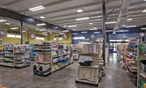 10 Petshop Di Tulungagung, Pilihan Terbaik Untuk Memenuhi Kebutuhan Hewan
