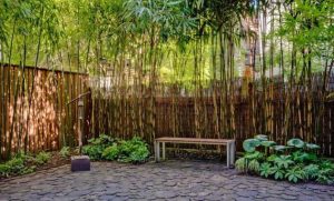 10 Rekomendasi Pilihan Jasa Tukang Taman Terbaik Di Daerah Bintaro,
