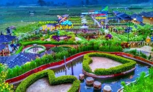 Kafe Unik Di Malang, Cafe Sawah Pujon Kidul Namanya