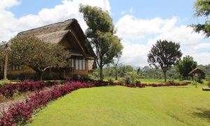 8 Rekomendasi Homestay Di Daerah Garut Yang Bagus Dan Bersih