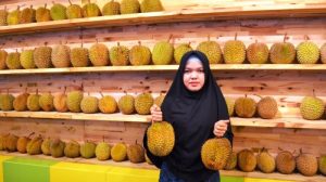 10 Kedai Durian Paling Top Dan Terkenal Di Medan