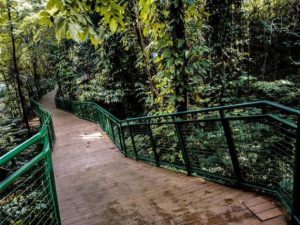 10 Hutan Kota Di Indonesia