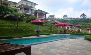 Beberapa Pilihan Villa Dekat Taman Safari Indonesia Yang Harganya Mulai