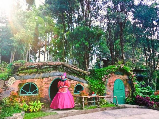 Rumah hobbit bogor the pinewood lodge & organic farm cisarua house lokasi puncak tiket masuk alamat harga rute cileungsi mekarsari gambar fasilitas jalan di penginapan hotel ke wisata