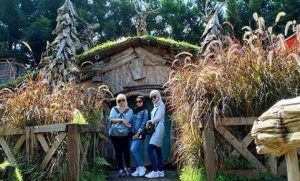 6 Hal Menarik Di Rumah Hobbit Cikole Bandung Yang Buat