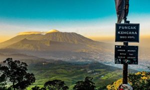 Pendaki Pemula? Coba Hiking Ke Gunung Kencana, Pesona Alamnya Exotic