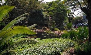 10 Gambar Godong Ijo Depok, Harga Tiket Masuk, Lokasi Alamat,