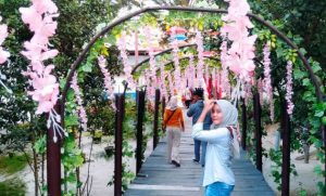 Bagaimana Akses Menuju Pantai Mangrove Di Kabupaten Serdang Bedagai Dan