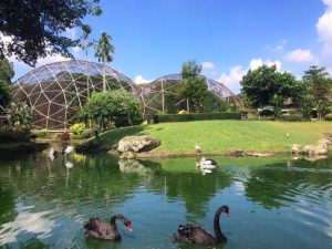 Taman Burung Tmii Jakarta