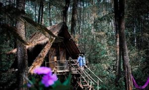 Taman Buru Masigit Kareumbi Sumedang Dimana Review Gambar Tempat Wisata Lokasi Gunung Kawasan Konservasi Gn. Bandung Jawa Barat Alam Di Timur