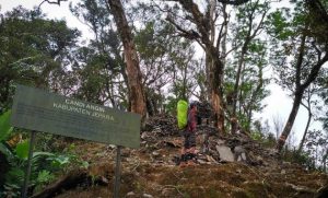 Candi Bubrah Jepara Yang Belum Diketahui Banyak Orang