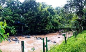 Taman Nasional Bukit Barisan Selatan