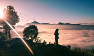 Camping Seru Di Gunung Putri Lembang Bandung Barat