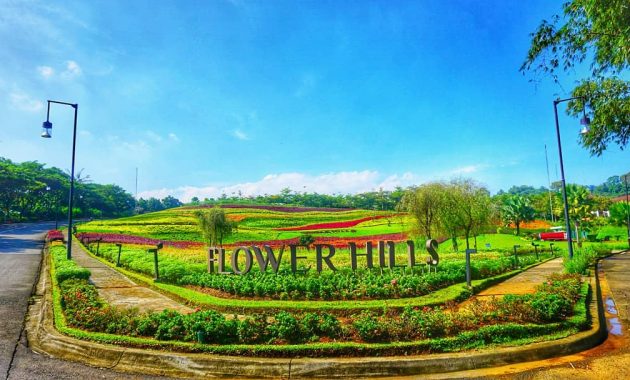 Taman bunga vimala hills bogor tiket masuk gadog ciawi jawa barat harga 2023 hill lokasi di puncak
