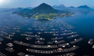 10 Waduk Terbesar Dengan Pemandangan Indah Di Jawa Barat
