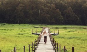 60 Tempat Wisata Di Ciwidey, Lokasi Objek Terbaru 2023: Kawah