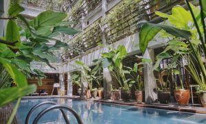 Greenhost Hotel Jogja, Akomodasi Estetik Yang Mengusung Konsep Go Green